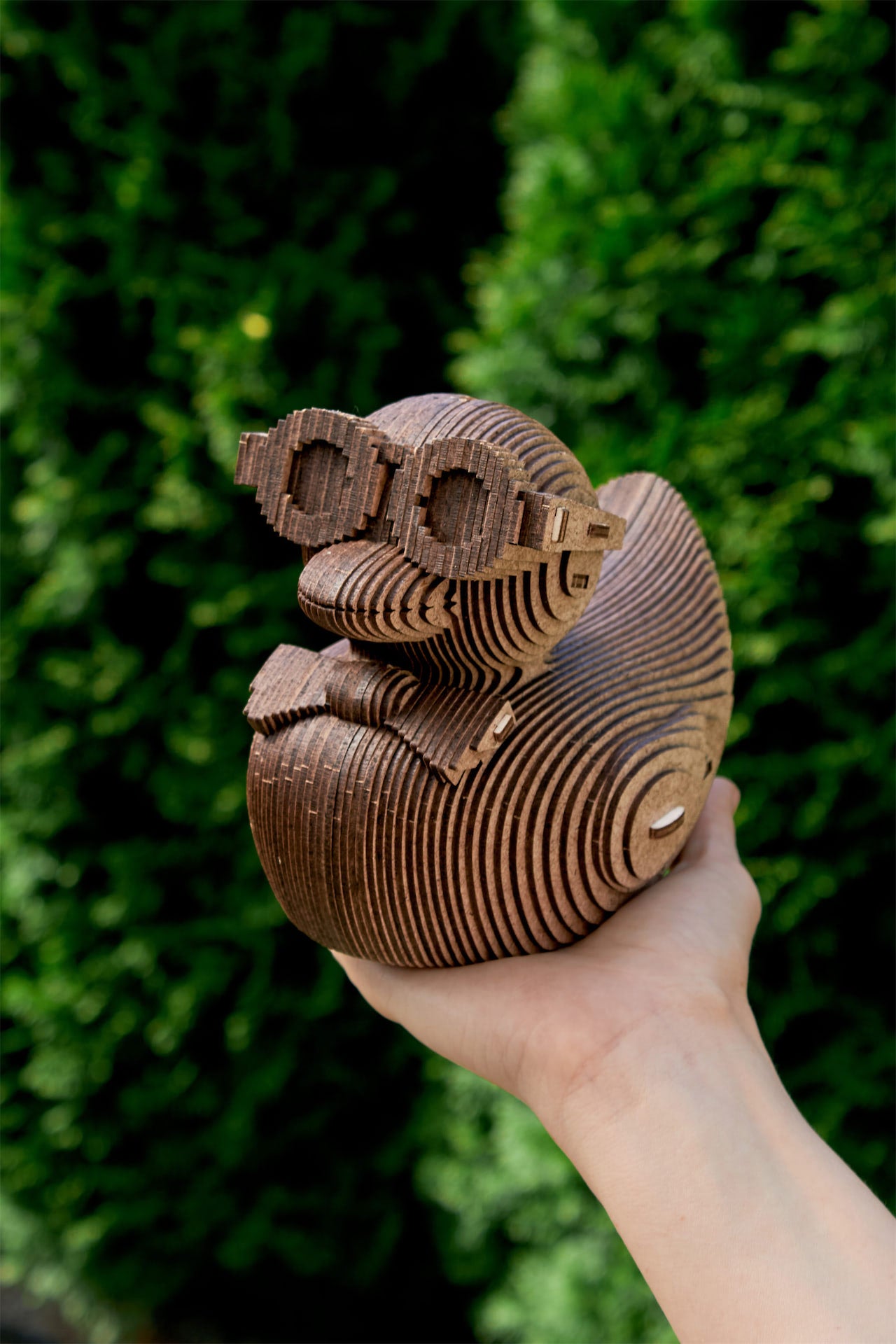 DUCK – COINBANK
