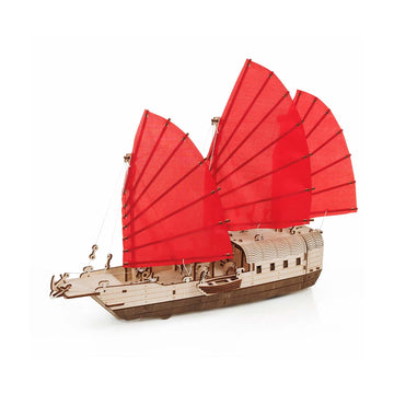 Djong mechanical wooden model by EWA, 246 pieces