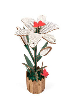 Flower Lily