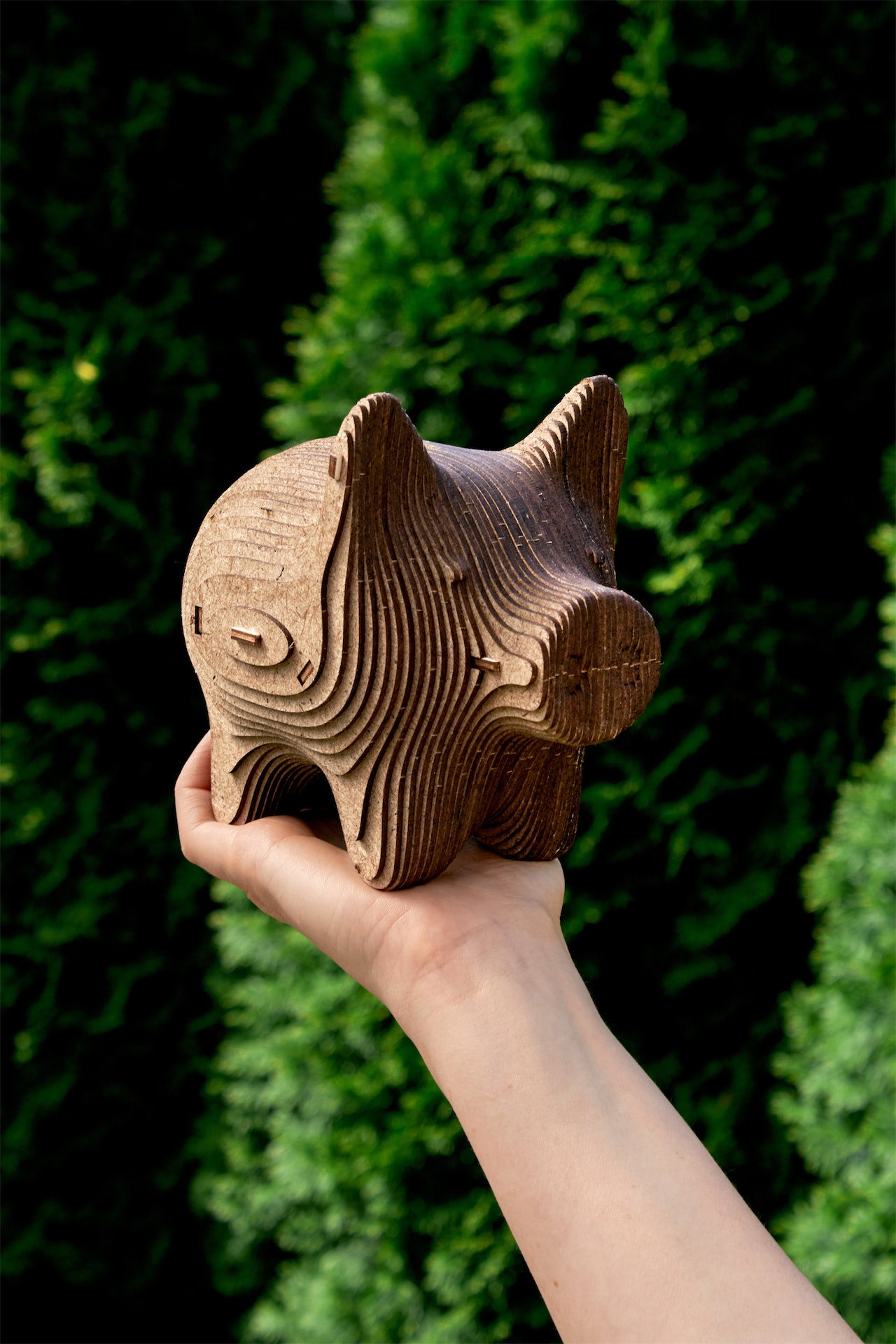 PIG – COINBANK