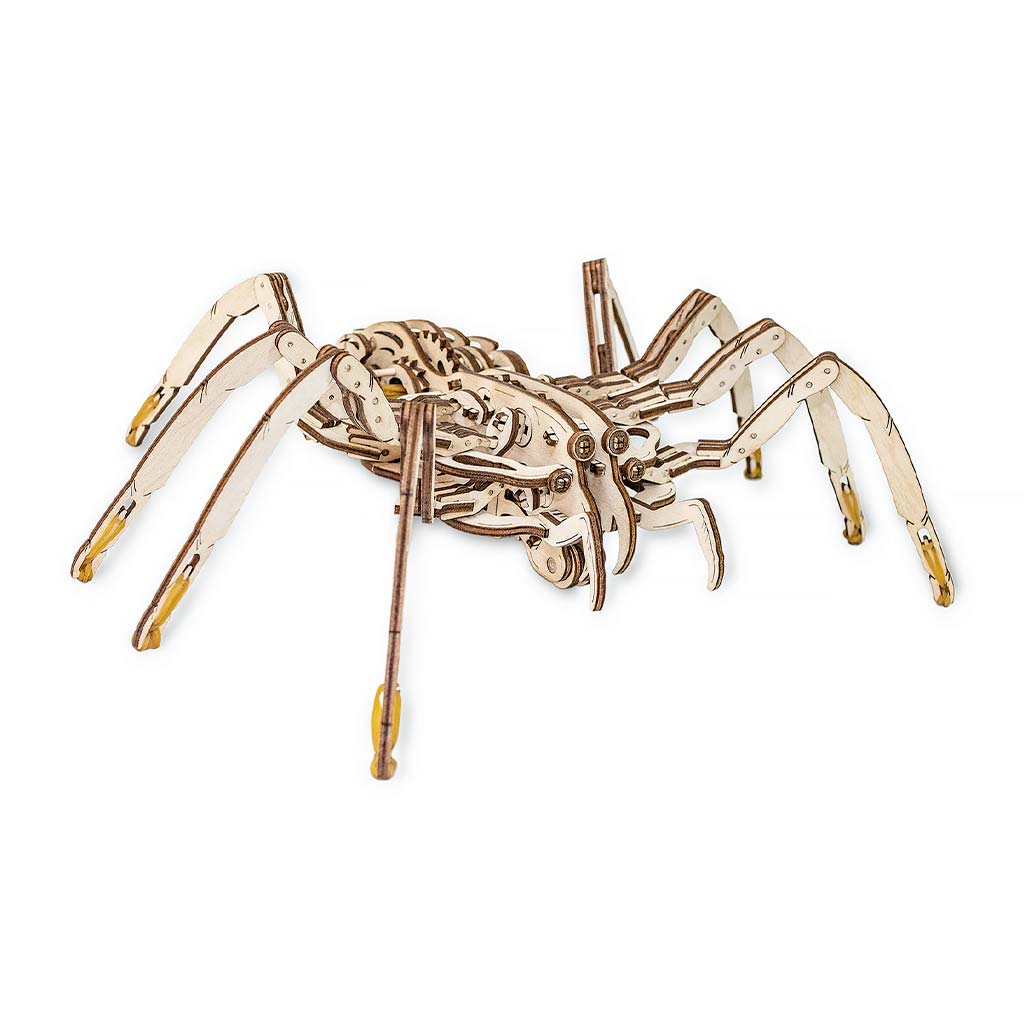 Spider – eco-wood-art